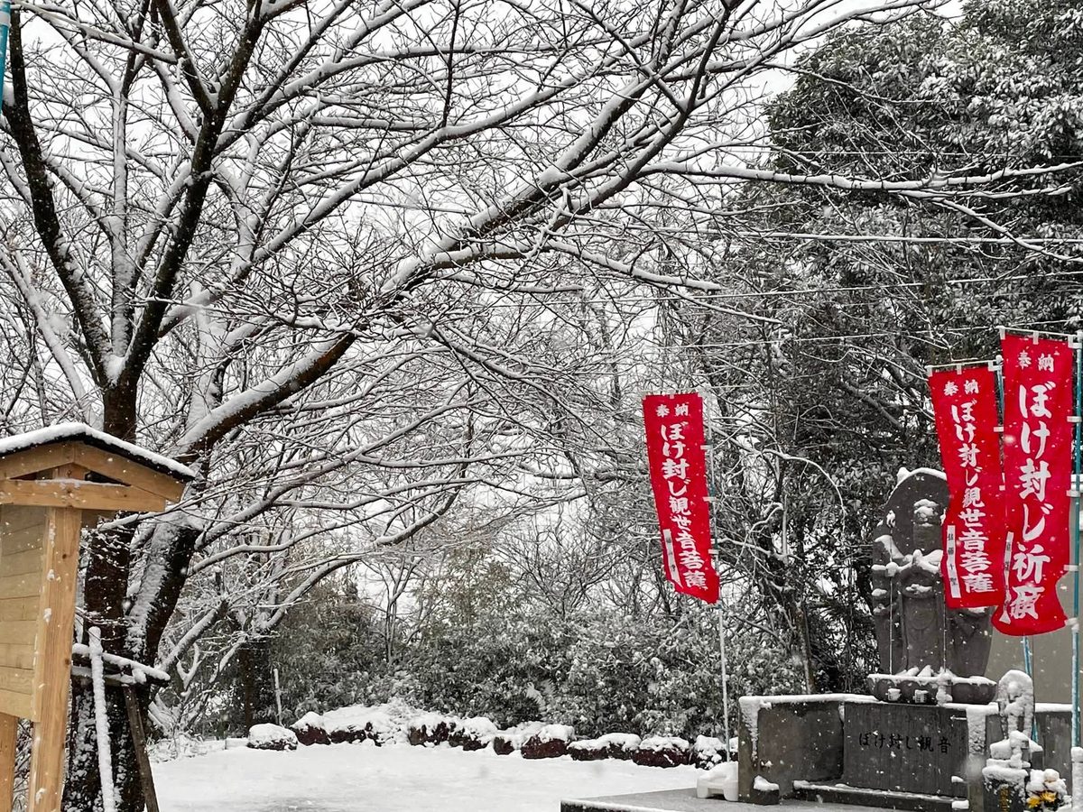 雪のぼけ封じ観音